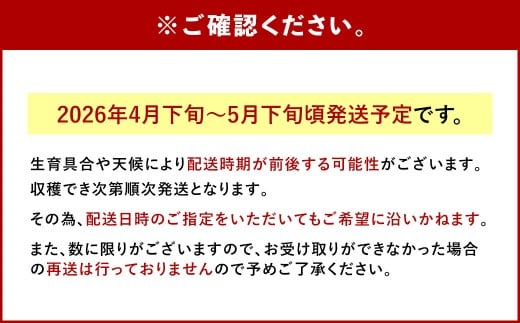 相良村産 春メロン（アンデス） 2玉（2L以上）