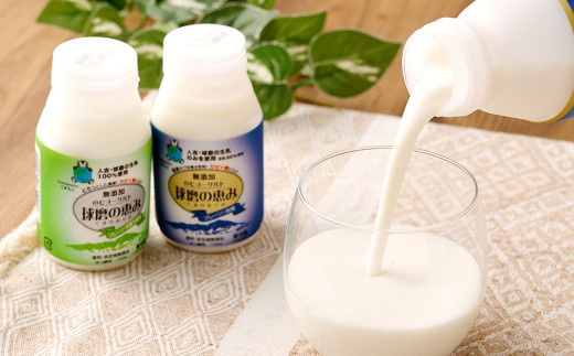 無添加「球磨の恵みのむヨーグルト」加糖＆砂糖不使用 詰め合わせセット 計16本 乳製品 生乳 乳飲料 朝食 おやつ のむヨーグルト 冷蔵 相良村