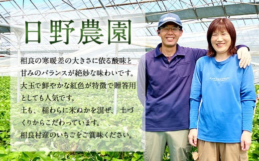 相良村産 いちご「ゆうべに」 250g×2パック