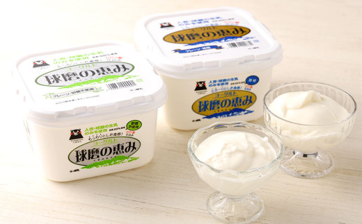 球磨の恵み ヨーグルト 2パック & ドリンクヨーグルト 8本 セット 乳製品 生乳 乳飲料 朝食 おやつ のむヨーグルト 冷蔵 相良村
