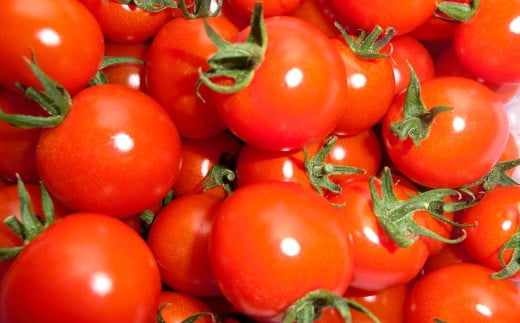 川辺川育ち ミニトマト 1.2kg