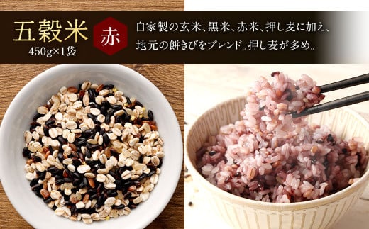 【ご自宅用】【定期便年6回】 五穀米（黒・赤）＆もち麦セット