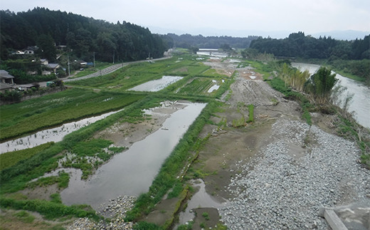 【復興応援型】 さがら茶 （H） 計200g （100g×2個） ギフト 緑茶