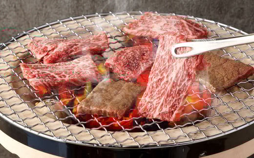 あか牛 焼肉用 カルビ 500g 焼肉 肉 牛肉 冷凍 熊本県産