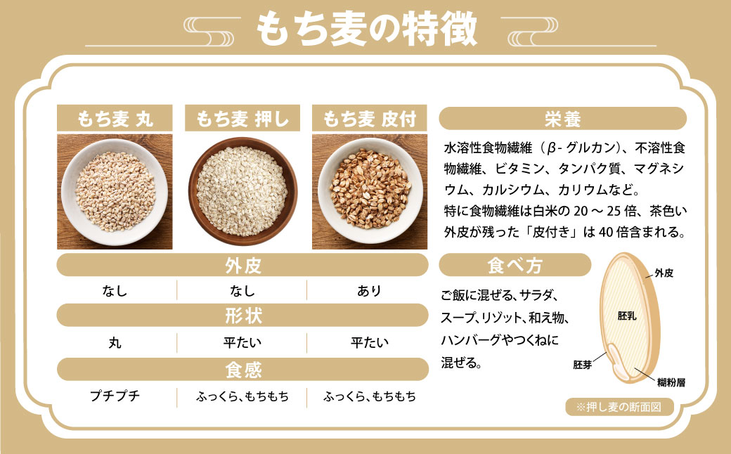 プチプチ！ もち麦（丸） 3kg （500g×6袋） もち麦 麦ごはん もちむぎ 米 お米 雑穀 ご飯 ごはん 国産