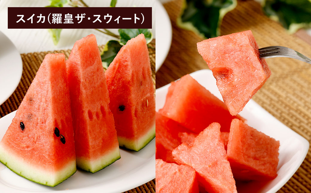 【フルーツ2回定期便】 スイカ＋アールスメロン