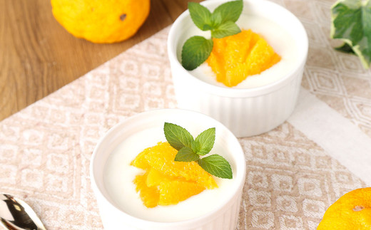 球磨の恵み ヨーグルト 2パック & ドリンクヨーグルト 8本 セット 乳製品 生乳 乳飲料 朝食 おやつ のむヨーグルト 冷蔵 相良村