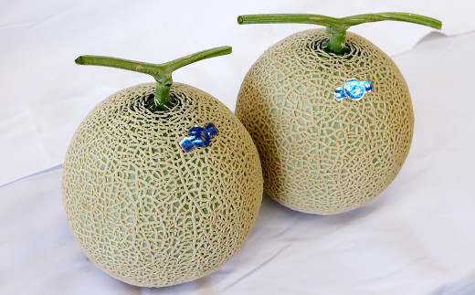 相良村産 秋メロン（アールス） 2玉（3L以上） 【2026年10月下旬～11月上旬発送予定】