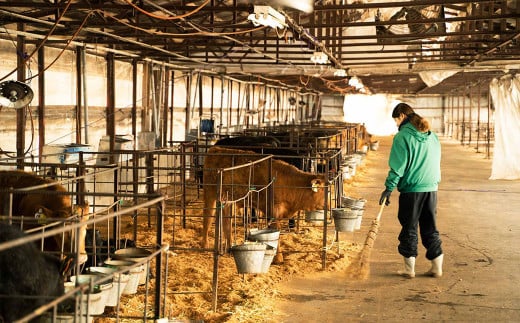 くまもと あか牛 100％ 餃子 60個 20個入り×3袋 冷凍
