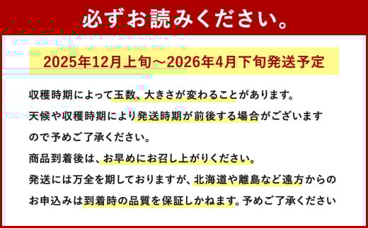 相良村産 いちご「ゆうべに」 250g×2パック