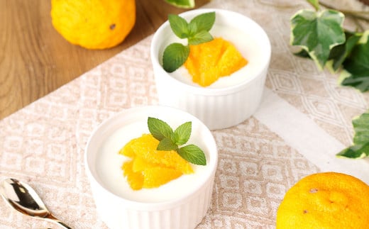 「球磨の恵みヨーグルト」 加糖・砂糖不使用 1000g×各2個 合計4個セット ヨーグルト 乳製品 生乳 朝食 おやつ 冷蔵 相良村