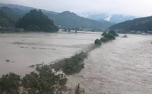 【復興応援型】 さがら茶 （H） 計200g （100g×2個） ギフト 緑茶