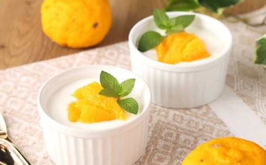 球磨の恵みヨーグルト（加糖、砂糖不使用） 各1kg 計2パック