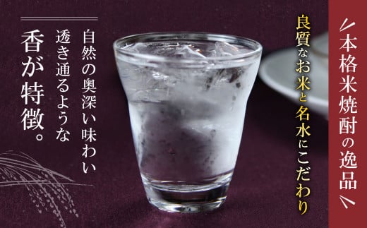 【年6回定期便】 限定川辺 720ml 3本セット 本格 純米 焼酎 25度 お酒