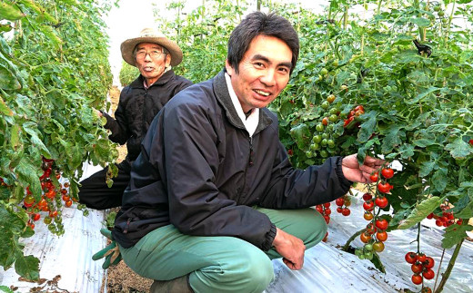 川辺川育ち ミニトマト 1.2kg