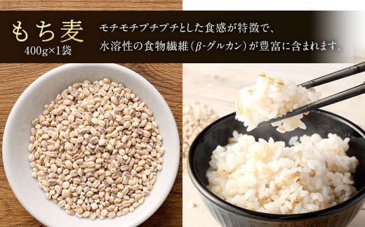 【ご自宅用】【定期便年3回】 五穀米（黒・赤）＆もち麦セット