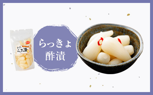 永尾商店 漬物 詰め合せ Dセット