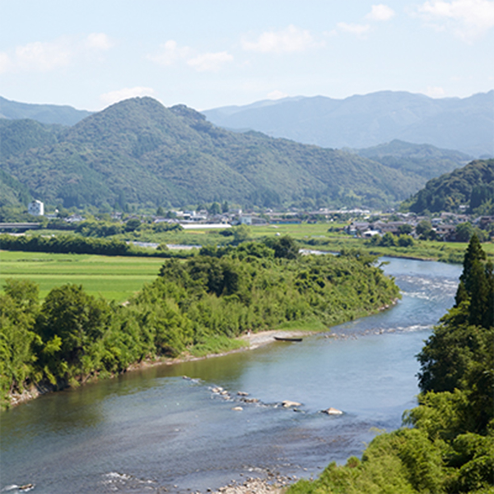 金しろ、銀しろ 本格米焼酎 2本セット  720ml 25度 焼酎 お酒 酒