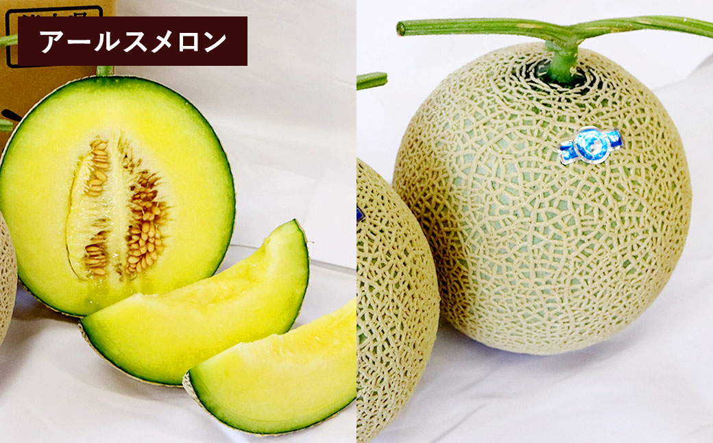 【フルーツ2回定期便】 スイカ＋アールスメロン