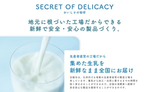 球磨の恵み A2牛乳 球磨の恵みヨーグルト 加糖 セット