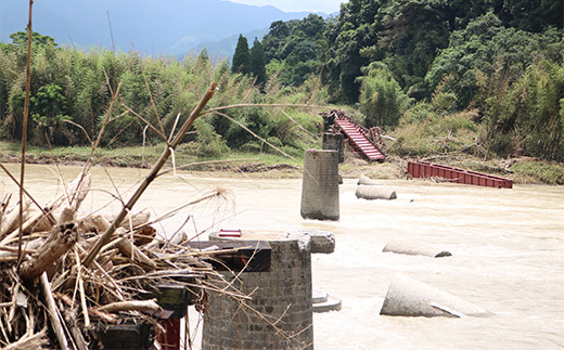 【復興応援型】 さがら茶 （H） 計200g （100g×2個） ギフト 緑茶