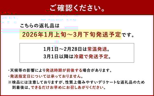 川辺川育ち ミニトマト 1.2kg