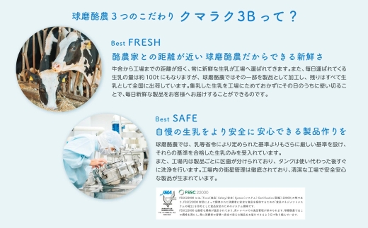 球磨の恵み ヨーグルト (加糖) 合計 3kg (1kg×3パック) 乳製品 生乳 朝食 おやつ 相良村