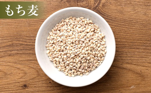 相良村産 ヘルシー 五穀米 250g と もち麦300g お試し 食べ比べ