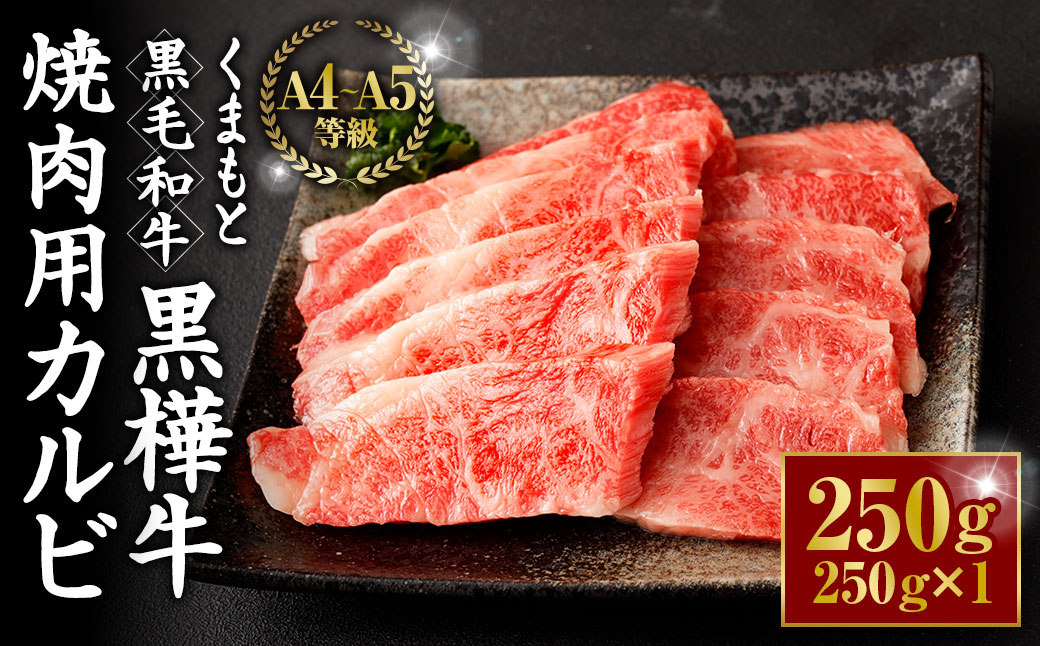 くまもと黒毛和牛 杉本本店 黒樺牛 A4~A5等級 焼肉用カルビ 250g