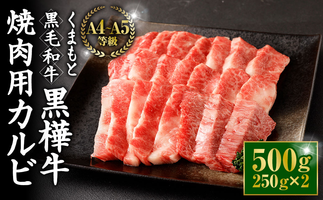 くまもと黒毛和牛 杉本本店 黒樺牛 A4~A5等級 焼肉用カルビ 250g×2 計500g
