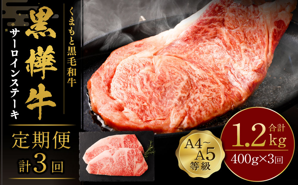 【3回定期便】くまもと黒毛和牛 杉本本店 黒樺牛 A4~A5等級 サーロインステーキ定期便 400g×3回