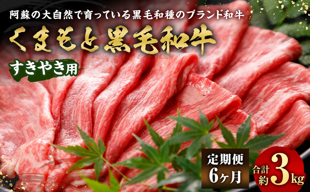 【6ヶ月定期便】くまもと黒毛和牛 すきやき用 500g