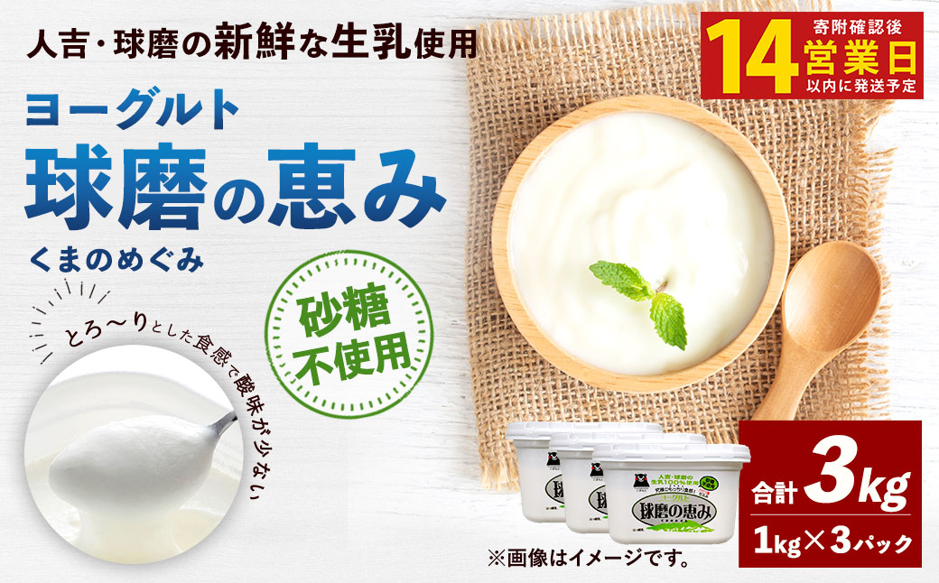 【14営業日以内発送予定】 球磨の恵み ヨーグルト (砂糖不使用) 合計 3kg (1kg×3パック) 乳製品 生乳 朝食 おやつ 相良村