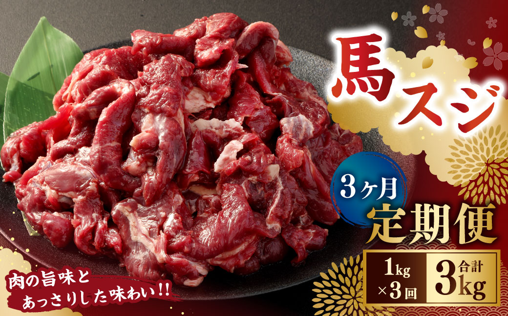 【3ヶ月定期便】 馬スジ1kg（500g×2パック） 合計3kg 馬肉 お肉 煮込み