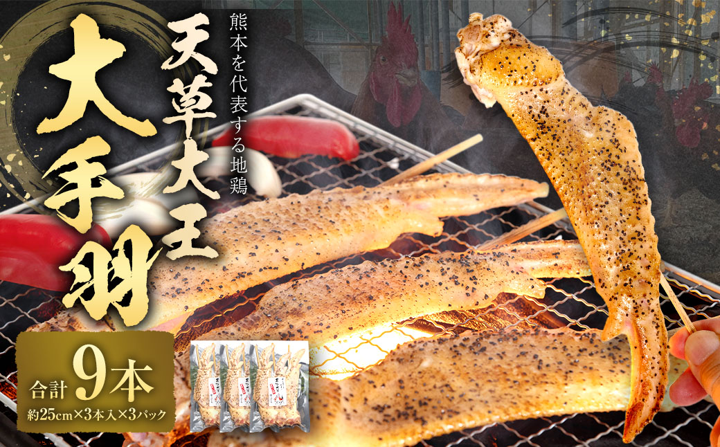 熊本 天草大王 大手羽 9本 （3本×3パック）