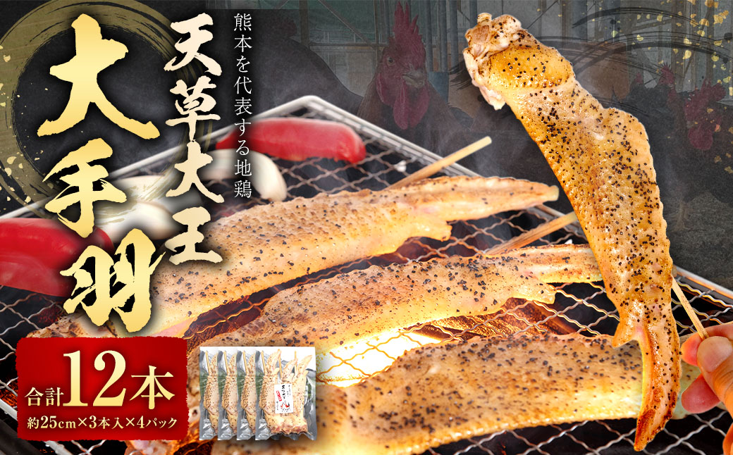 熊本 天草大王 大手羽 12本 （3本×4パック）