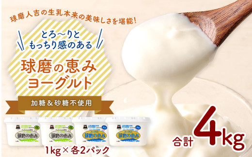 「球磨の恵みヨーグルト」 加糖・砂糖不使用 1000g×各2個 合計4個セット ヨーグルト 乳製品 生乳 朝食 おやつ 冷蔵 相良村