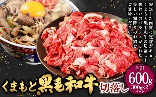 くまもと 黒毛和牛 切落し 合計600g （300g×2パック） 牛肉 肉 お肉 にく 和牛 国産