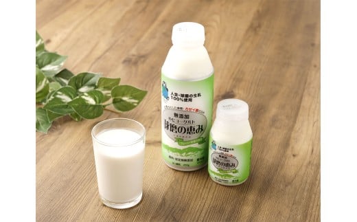 球磨の恵みのむヨーグルト（プレーン・砂糖不使用） 150g×10本