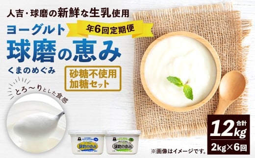 【定期便6回】 球磨の恵みヨーグルト（加糖、砂糖不使用） 各1kg 計2パック