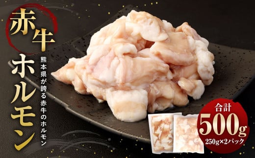 赤牛ホルモン 500g (250g×2パック) 和牛 牛肉