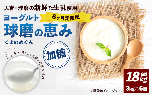 【6ヶ月定期便】 球磨の恵み ヨーグルト (加糖) 合計 18kg (1kg×3パック)×6回 乳製品 生乳 朝食 おやつ 相良村