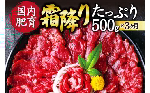 【3ヶ月定期便】【ふるさと納税】 熊本馬刺し 霜降りたっぷり500g （50g×10パック） 専用醤油付き