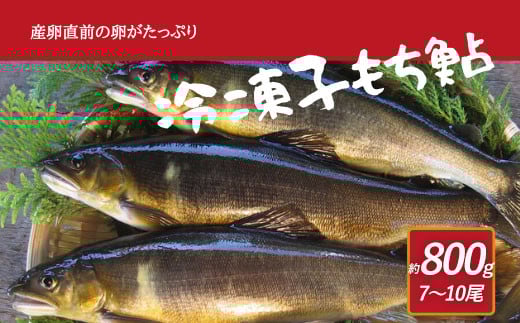 産卵直前の卵たっぷりの冷凍子持鮎 約800g （7～10尾） 魚卵 魚 お魚 さかな 鮎 子持鮎 あゆ 塩焼き 煮付け