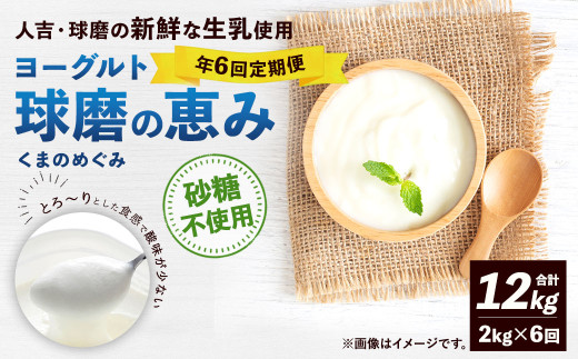 【定期便 年6回】球磨の恵み ヨーグルト 砂糖不使用 2kg×6回 合計12kg 乳製品 生乳 朝食 おやつ スイーツ ジャム 冷蔵