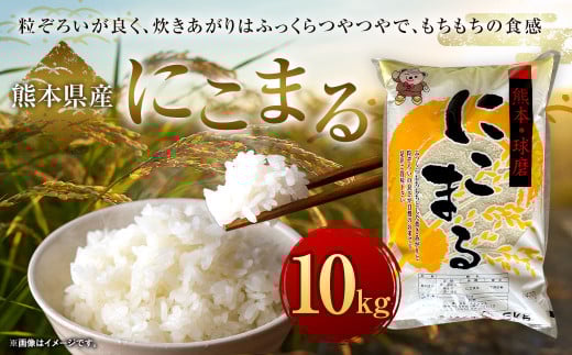 にこまる 10kg（5kg×2袋）