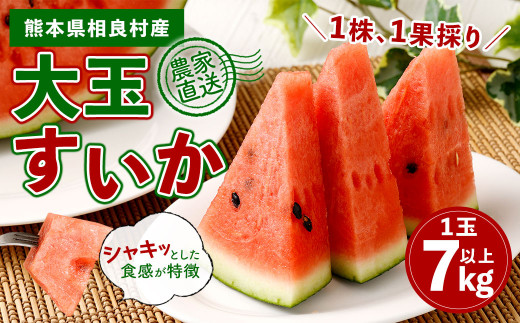 相良村産 大玉スイカ（羅皇ザ・スウィート） 1玉（7kg以上）