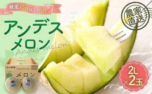 相良村産 春メロン（アンデス） 2玉（2L以上）