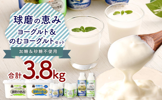 球磨の恵み ヨーグルト 2パック & ドリンクヨーグルト 8本 セット 乳製品 生乳 乳飲料 朝食 おやつ のむヨーグルト 冷蔵 相良村