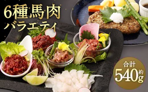 馬肉バラエティ 計540g 6種 タレ付き 馬刺 馬刺し 赤身 コウネ フタエゴ ユッケ トロ ハンバーグ 馬 肉 切落し スライス